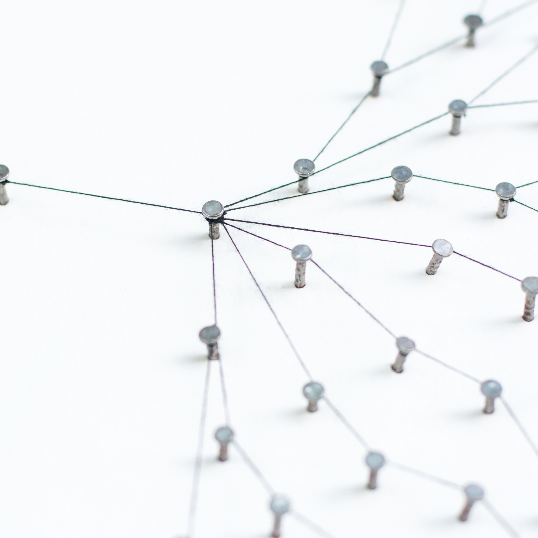 Cross Functional & Intercompany Liaison & Management