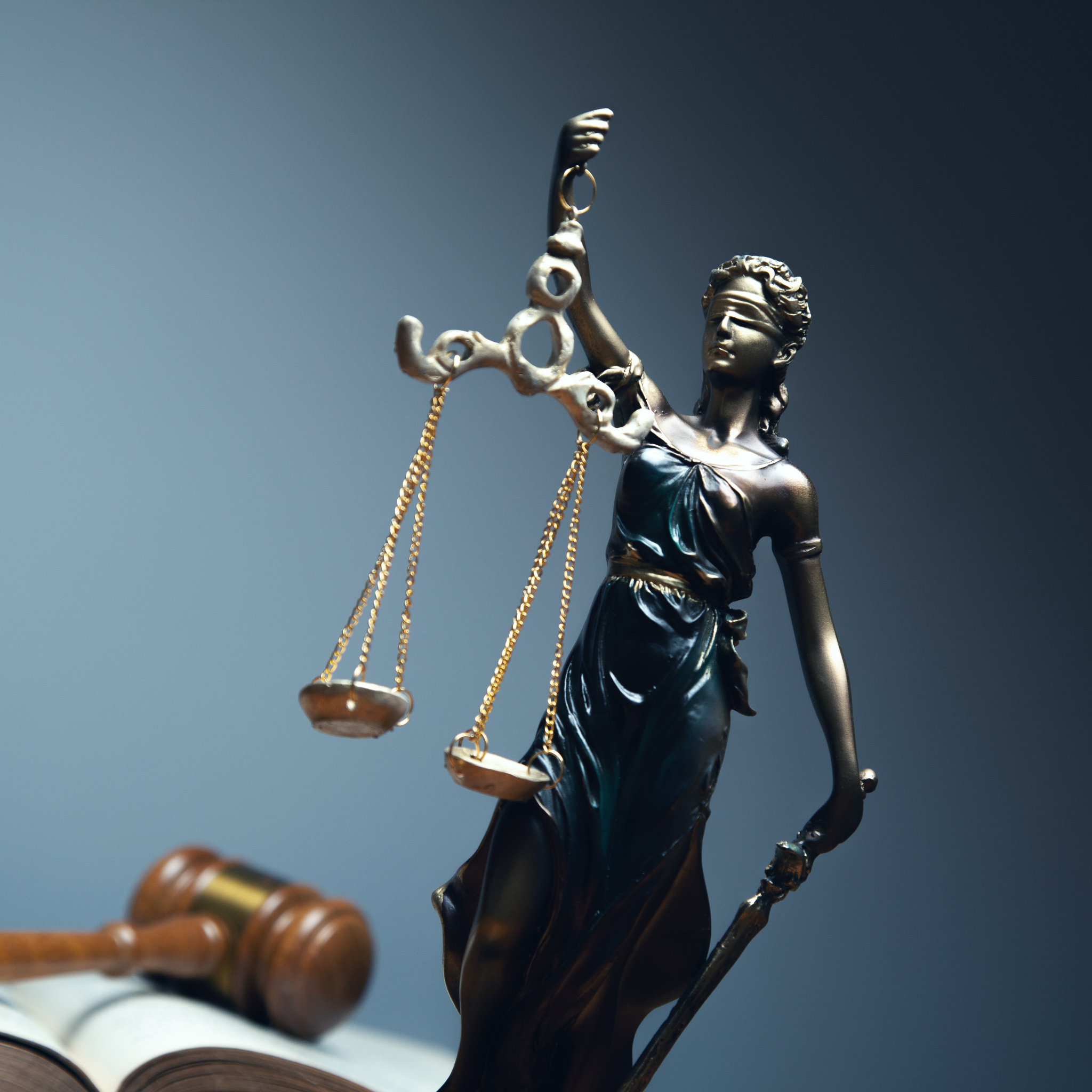 Legal Liaison & Contract Review Services